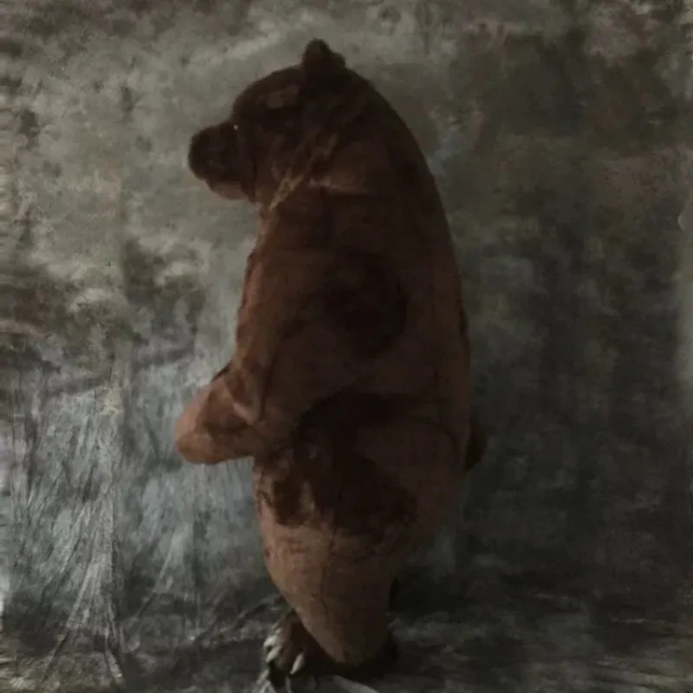 Inflatable Brown Bear Mascot C - Halloween Costume Adult review and price