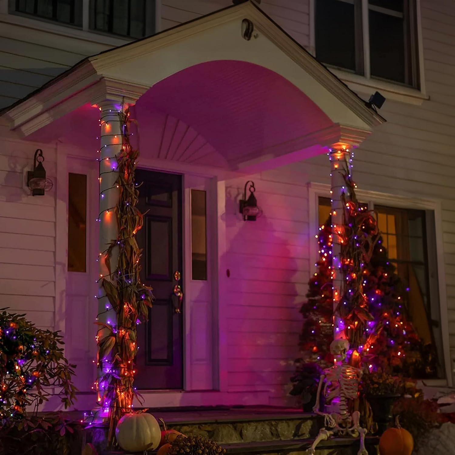 Dazzle Bright 164 FT 500 LED H - Halloween Led String Lights Orange review and price